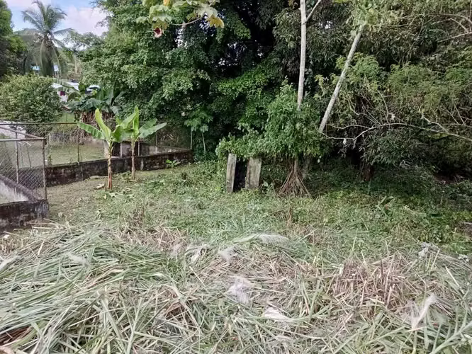 Terreno Comercial en Chilibre sobre Vía Transístmica | 2,435 m² - Imagen 10