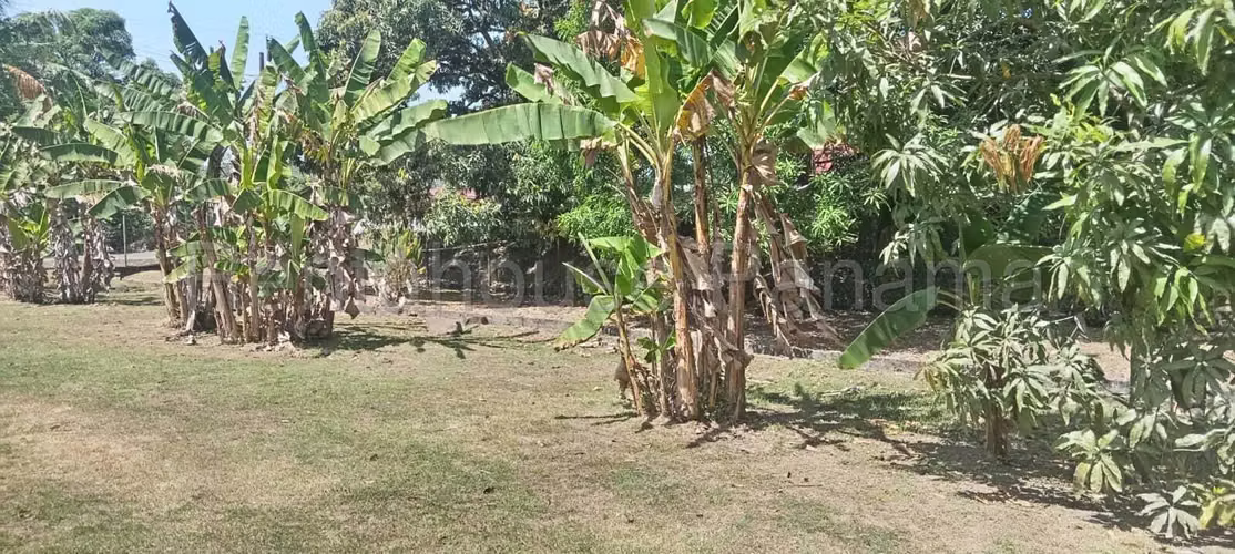 VENTA DE TERRENO EN TERRENO CHILIBRE CENTRO HQ - Imagen 19