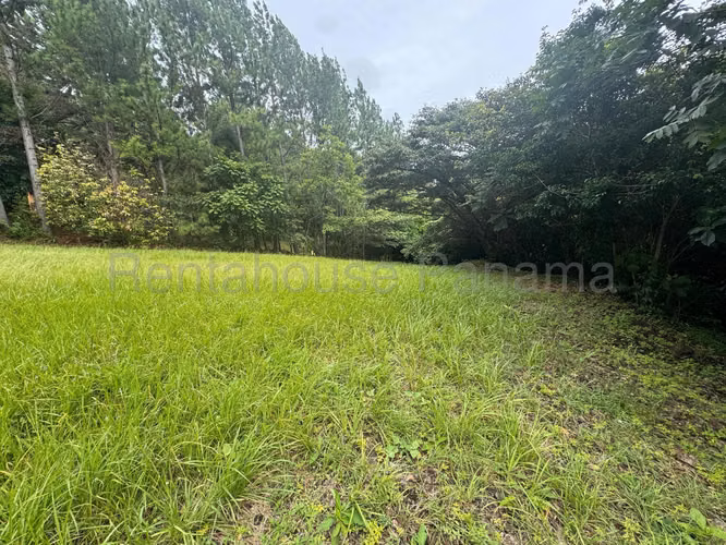 Vendo Terreno/lote PLANO en ALTOS DEL MARIA OF 26-8897 - Imagen 4