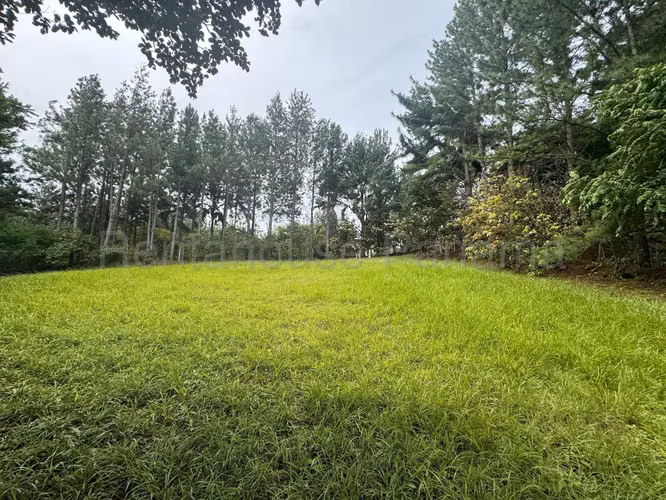 Vendo Terreno/lote PLANO en ALTOS DEL MARIA OF 26-8897 - Imagen 6
