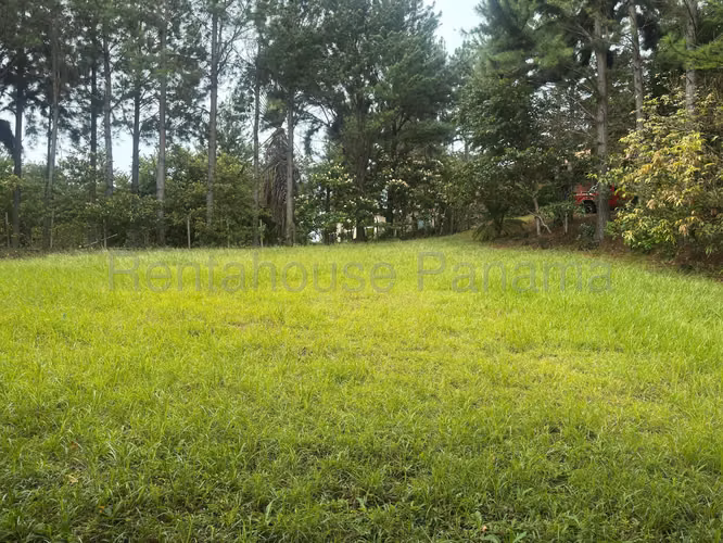 Vendo Terreno/lote PLANO en ALTOS DEL MARIA OF 26-8897 - Imagen 7