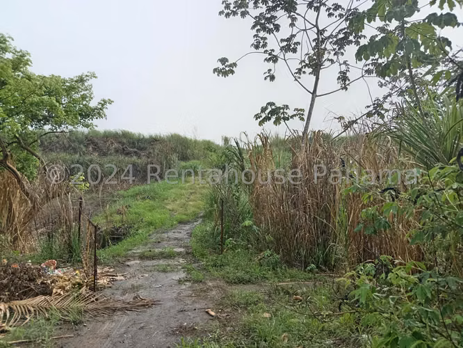Vendo Terreno en Pedregal ORILLA DEL CORREDOR NORTE OF 26-8864 - Imagen 11