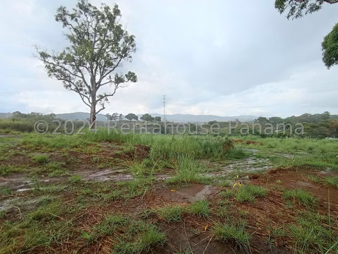 Vendo Terreno en Pedregal ORILLA DEL CORREDOR NORTE OF 26-8864 - Imagen 8