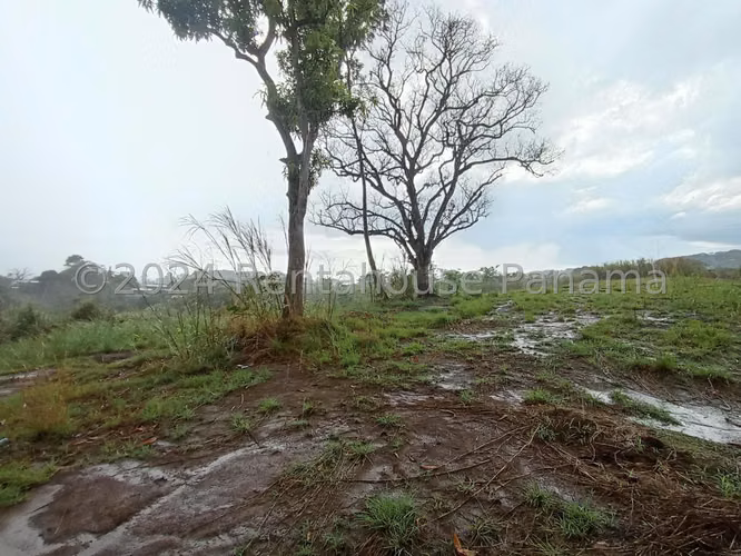 Vendo Terreno en Pedregal ORILLA DEL CORREDOR NORTE OF 26-8864 - Imagen 9