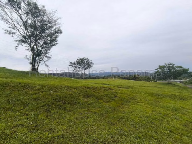 Vendo Terreno en Pedregal ORILLA DEL CORREDOR NORTE OF 26-8864 - Imagen 6