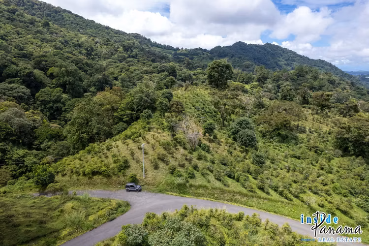 Se Vende Finca de Café de más de 12 Ha en La Horqueta Boquete Panamá