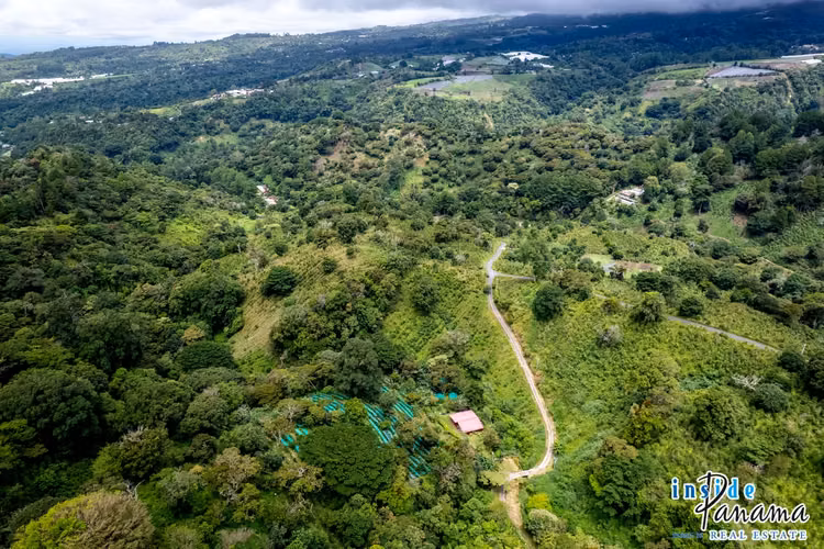 Se Vende Finca de Café de más de 12 Ha en La Horqueta Boquete Panamá
