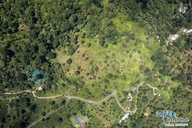 Se Vende Finca de Café de más de 12 Ha en La Horqueta Boquete Panamá