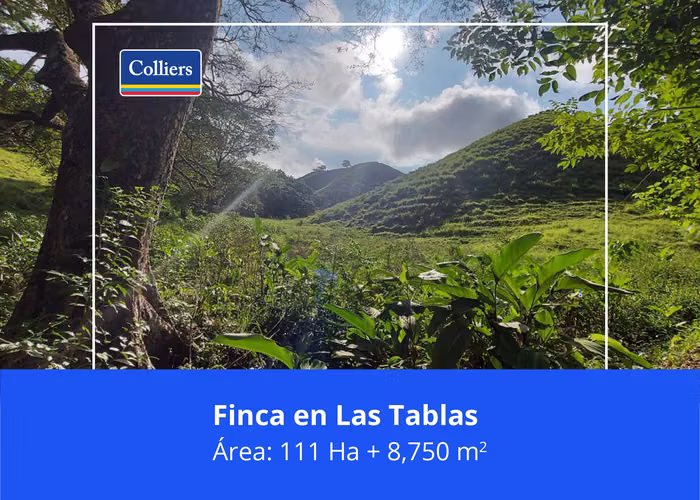 Se vende Terreno en Las Tablas