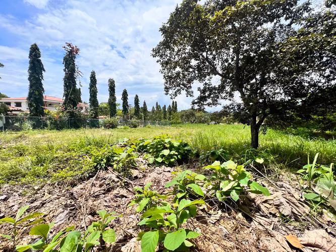 Venta de hermoso terreno en Coronado en Paseo Las Quintas