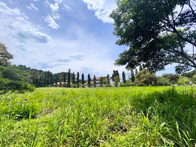 Venta de hermoso terreno en Coronado en Paseo Las Quintas