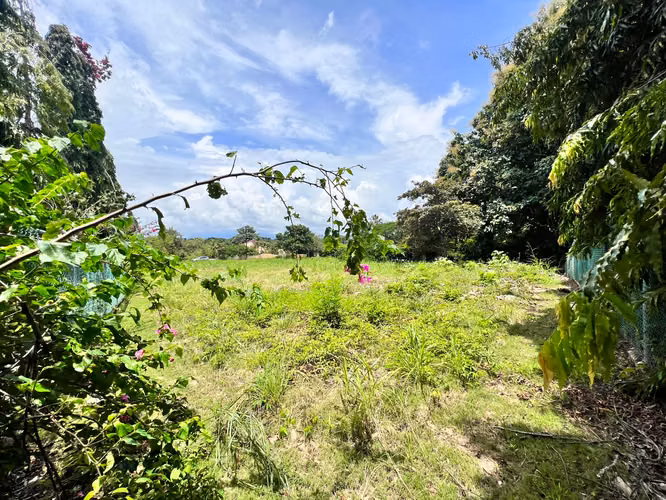 Venta de hermoso terreno en Coronado en Paseo Las Quintas