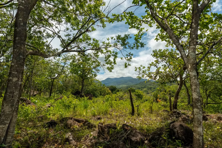 Terreno en Caldera cerca de Boquete, Panamá