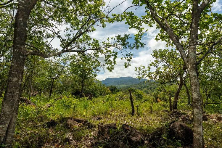 Terreno en Caldera cerca de Boquete, Panamá