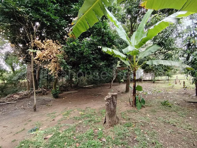 VENTA TERRENO CON CASAS PARA COMERCIO CAPIRA