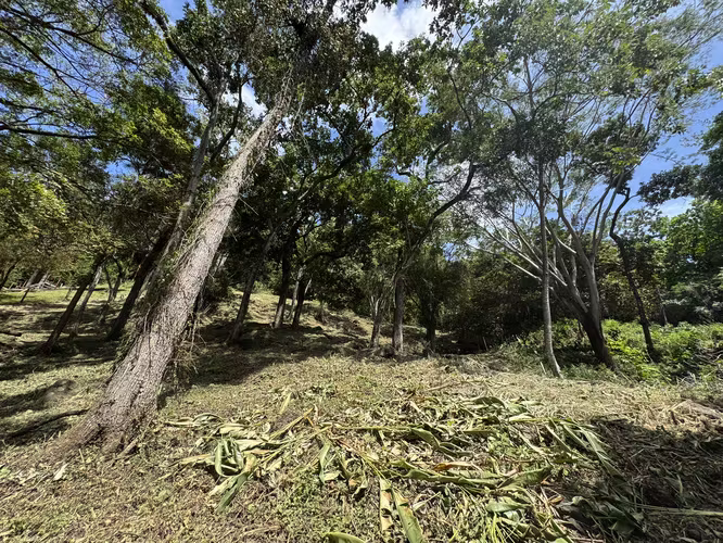 Rebajado Terreno en Venta en Altos del Maria – Lucca