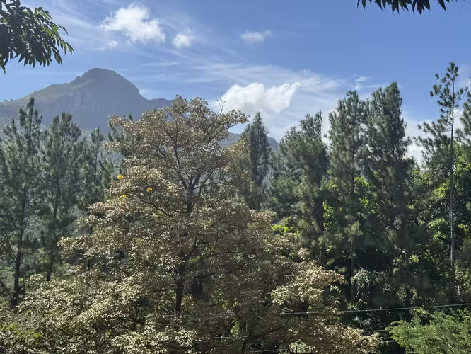 Rebajado Terreno en Venta en Altos del Maria – Lucca