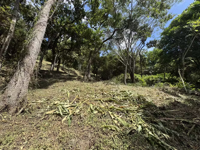 Rebajado Terreno en Venta en Altos del Maria – Lucca