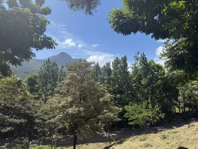 Rebajado Terreno en Venta en Altos del Maria – Lucca