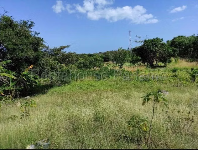 Terreno 6060.17 m2 en venta con estructura en San Carlos 26MGO6281 - Imagen 2