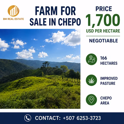 Venta de Finca en Cañitas, Chepo