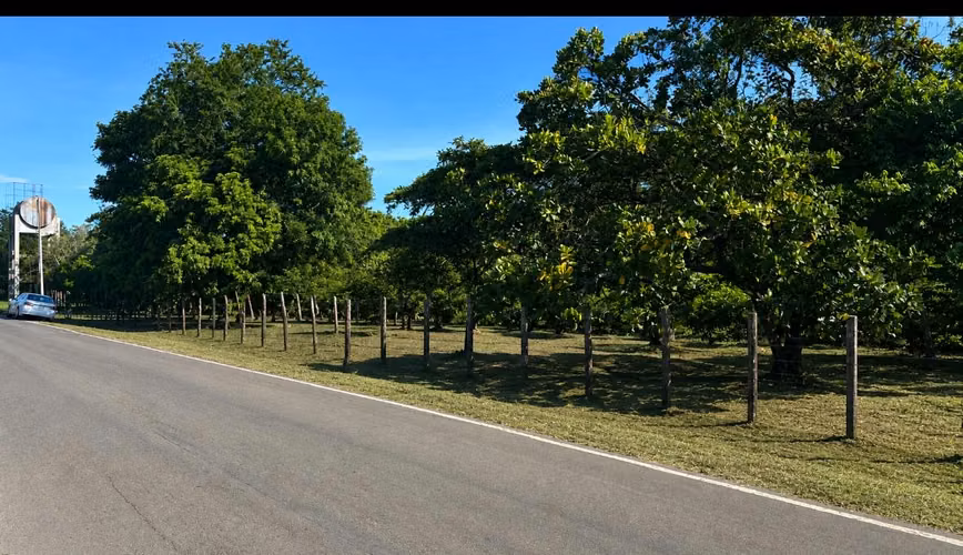 Terreno - Imagen 2