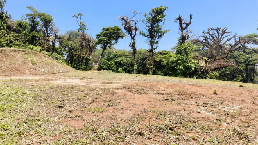 Oportunidad! Se Vende Casa en Amplio terreno en Altos del Maria - Imagen 14