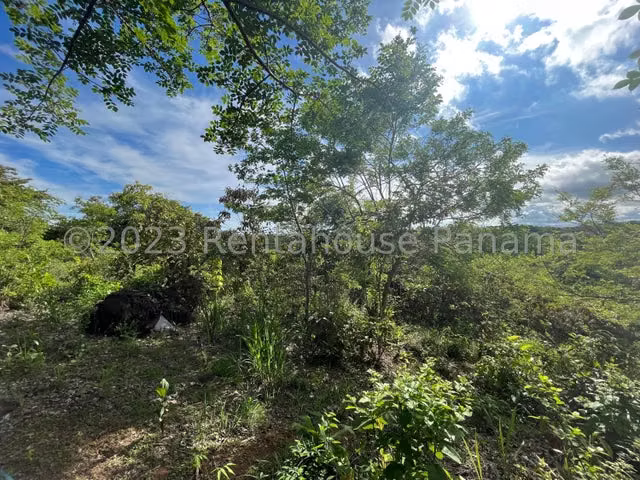 Terreno en venta El Espino ELP 24-4786 - Imagen 16