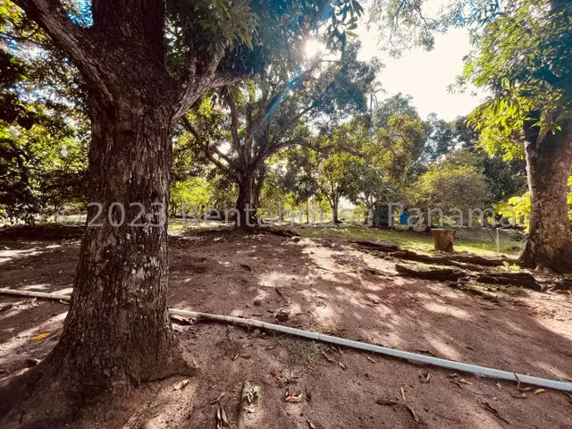 Terreno en venta El Espino ELP 24-4786 - Imagen 11