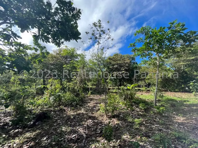 Terreno en venta El Espino ELP 24-4786 - Imagen 15