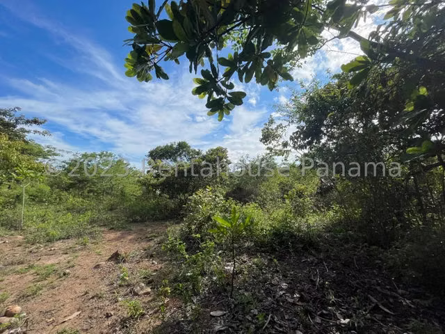 Terreno en venta El Espino ELP 24-4786 - Imagen 17