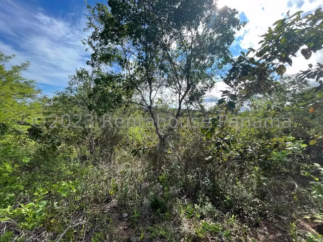 Terreno en venta El Espino ELP 24-4786 - Imagen 18