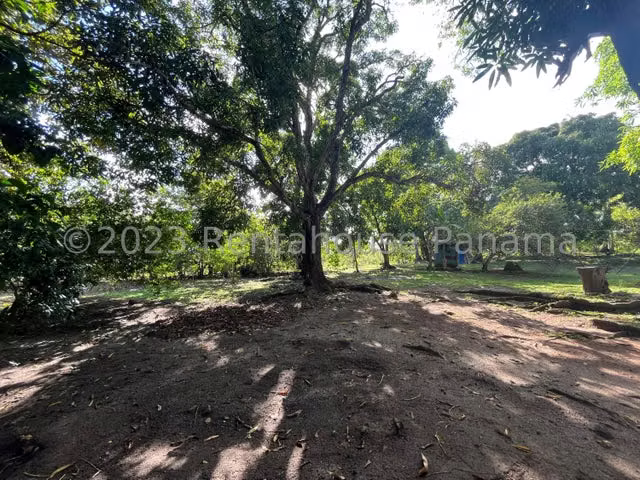 Terreno en venta El Espino ELP 24-4786 - Imagen 13