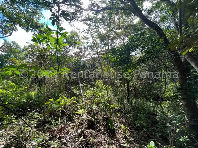 Terreno en venta El Espino ELP 24-4786 - Imagen 19
