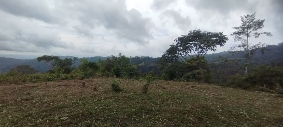 Se Vende  7 Hectáreas OPORTUNIDAD ÚNICA DE ADQUIRIR UN TERRENO CON VISTA A LA CIUDAD - Imagen 9