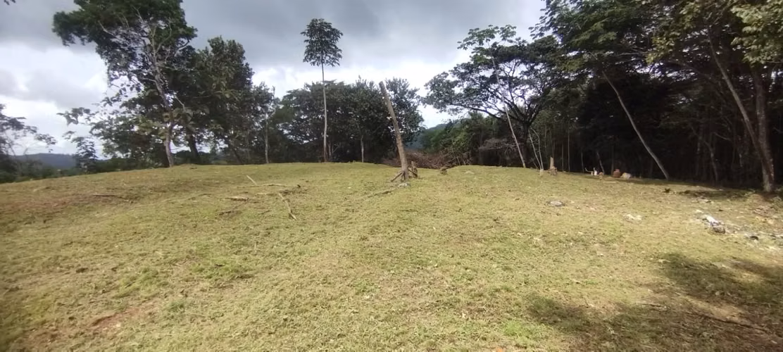 Se Vende  7 Hectáreas OPORTUNIDAD ÚNICA DE ADQUIRIR UN TERRENO CON VISTA A LA CIUDAD - Imagen 10