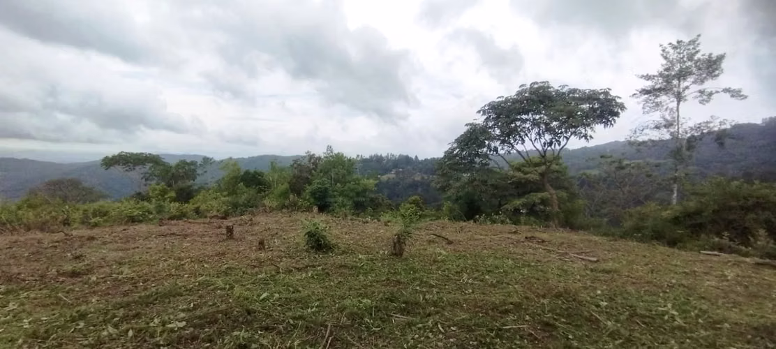 Se Vende  7 Hectáreas OPORTUNIDAD ÚNICA DE ADQUIRIR UN TERRENO CON VISTA A LA CIUDAD - Imagen 8