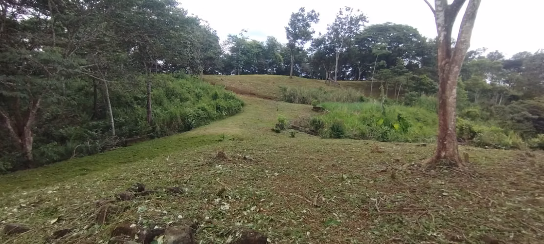 Se Vende  7 Hectáreas OPORTUNIDAD ÚNICA DE ADQUIRIR UN TERRENO CON VISTA A LA CIUDAD - Imagen 15