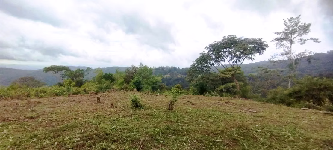 Se Vende  7 Hectáreas OPORTUNIDAD ÚNICA DE ADQUIRIR UN TERRENO CON VISTA A LA CIUDAD - Imagen 4