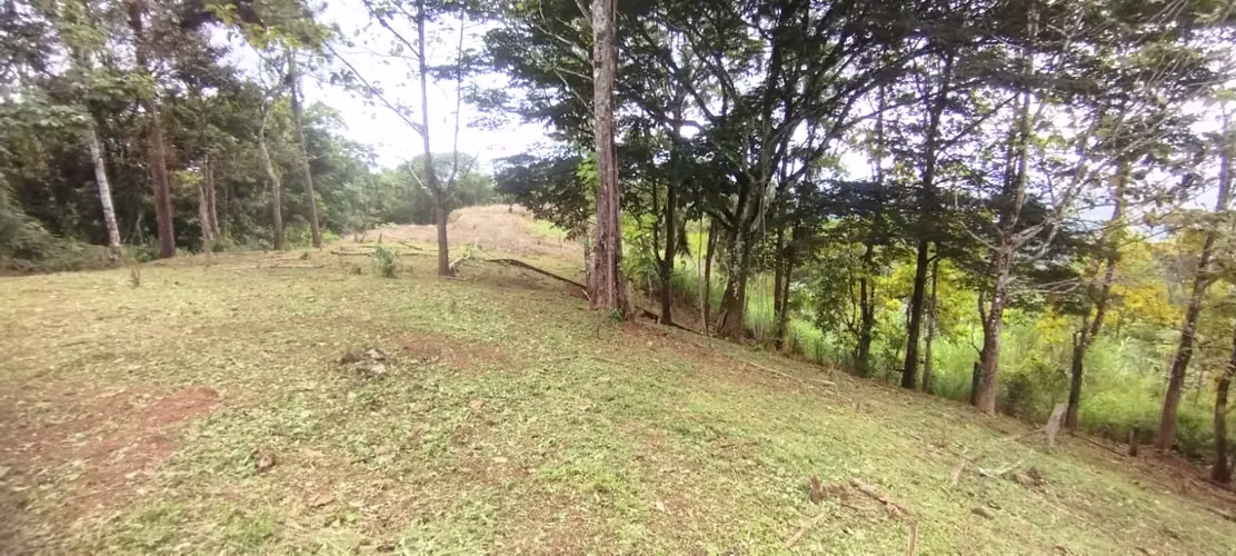Se Vende  7 Hectáreas OPORTUNIDAD ÚNICA DE ADQUIRIR UN TERRENO CON VISTA A LA CIUDAD - Imagen 3