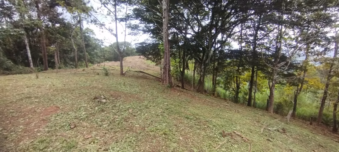Se Vende  7 Hectáreas OPORTUNIDAD ÚNICA DE ADQUIRIR UN TERRENO CON VISTA A LA CIUDAD - Imagen 14