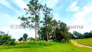 Terreno en Venta en Brisas del Golf 26jack4491