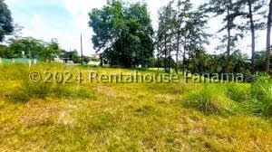 Terreno en Venta en Brisas del Golf 26jack4491