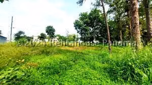 Terreno en Venta en Brisas del Golf 26jack4491