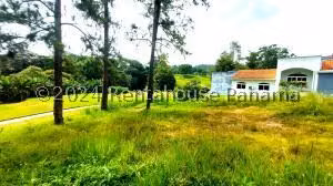 Terreno en Venta en Brisas del Golf 26jack4491