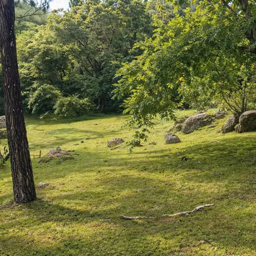 Se vende hermoso terreno de 2,600 m² en Altos - Imagen 3