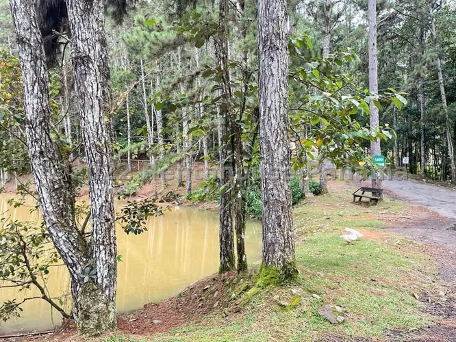 Casa en Venta en Cerro Azul JG - Imagen 15