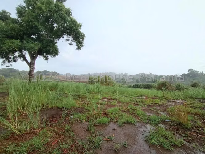 Terreno en Venta en Pedregal JG - Imagen 4