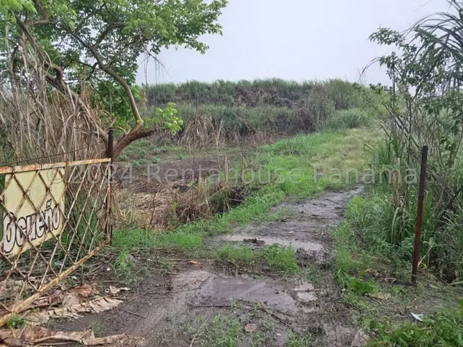 Terreno en Venta en Pedregal JG - Imagen 6