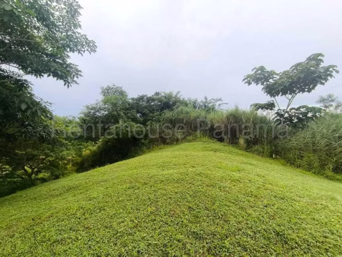 Terreno en Venta en Pedregal JG - Imagen 12